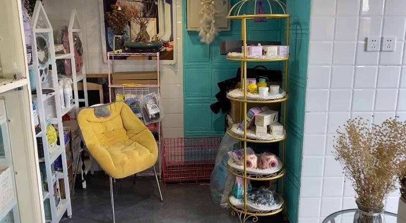 开宠物店都有哪些好的经验,年轻人开宠物店是一个好选择吗