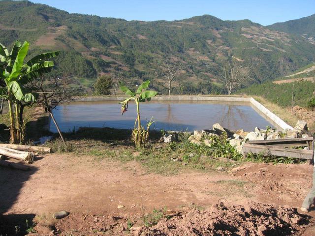 为什么挖个鱼塘时间久了就会有鱼,为什么在农村挖一个池塘会生鱼来