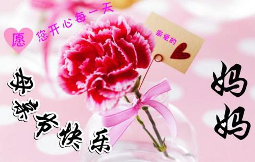母亲节表情包,母亲节康乃馨视频完整版