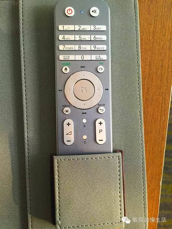 苏州带宠物去的古镇,苏州小众宠物乐园推荐