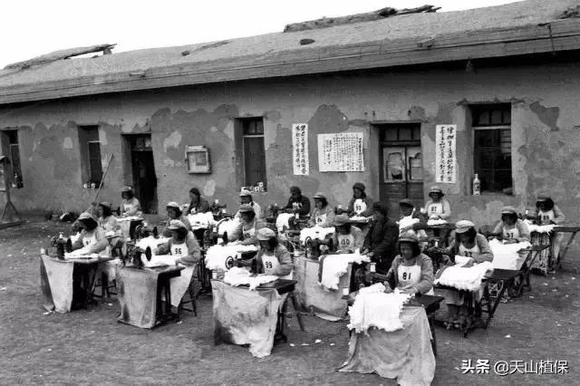 伟大的新疆,伟大的阿勒泰