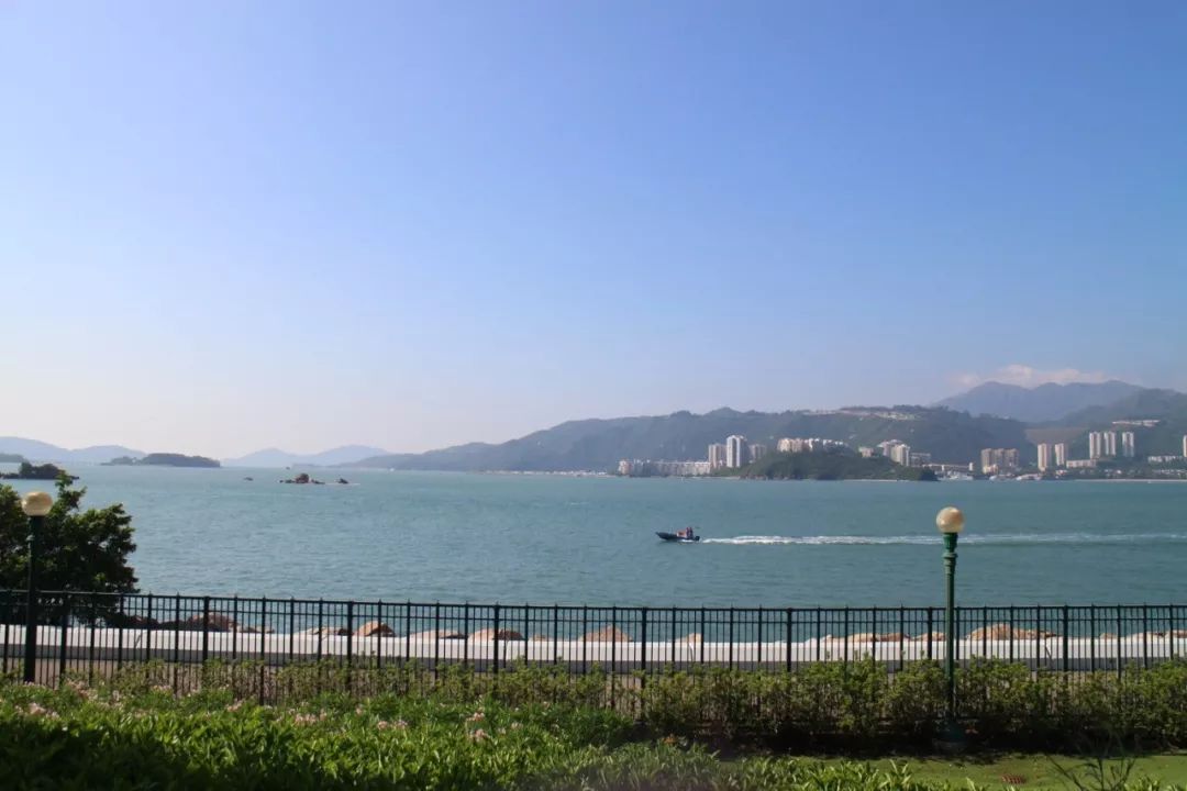 香港迪士尼好莱坞酒店问题,香港迪士尼好莱坞酒店为什么便宜