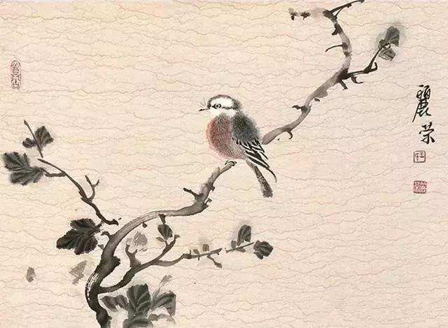 写意花鸟配景石的画法,干货写意花鸟类的画法