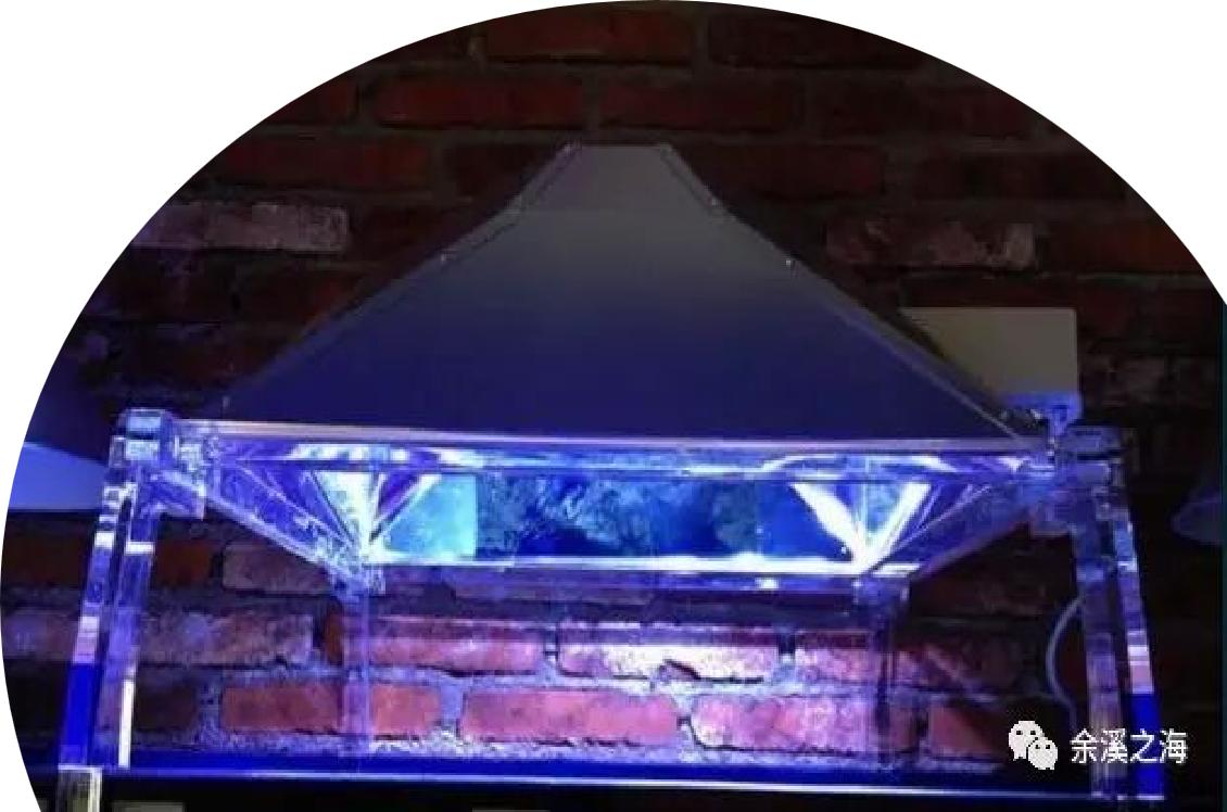 养硬骨珊瑚需要什么设备,新手养珊瑚步骤