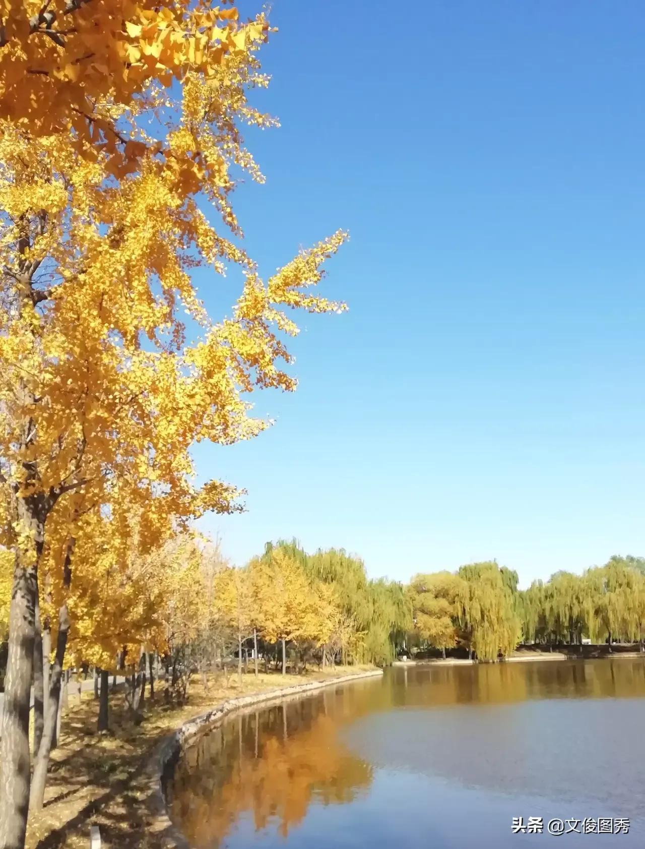 是真名士自风流——读郝海洋古体诗集《心风十二月》张舒亚