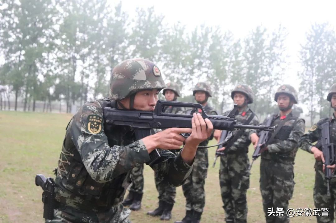 犟人的视频,犟人