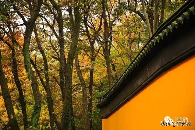 一入秋苏州怎就美成了姑苏,一入秋南京就成了金陵