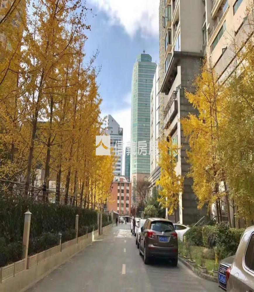 兆丰帝景苑上海,兆丰帝景苑8号楼