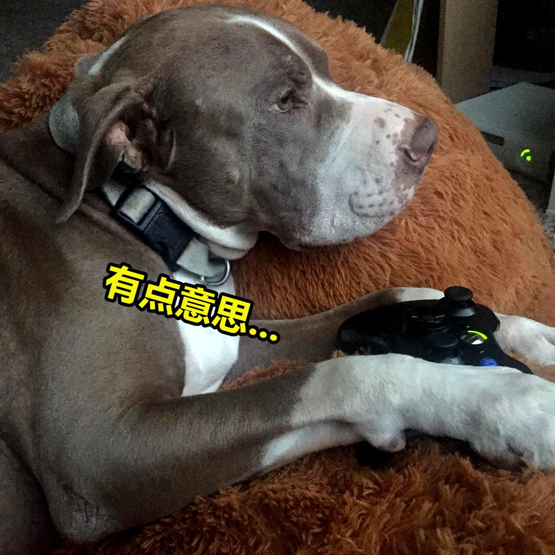 minecraft里的狗怎么才能有,minecraft如何养熊猫