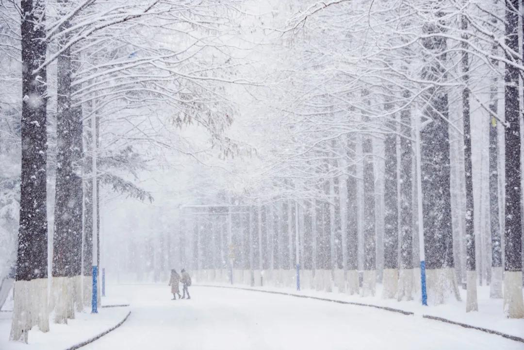 三亚和厦门哪一个更值得去旅游,三亚和厦门哪个更值得去旅游