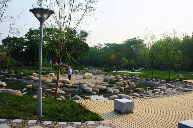 天津春天踏青好地方,天津武清踏青好去处