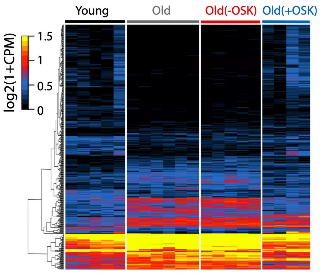 nature封面的启发,nature封面完整版