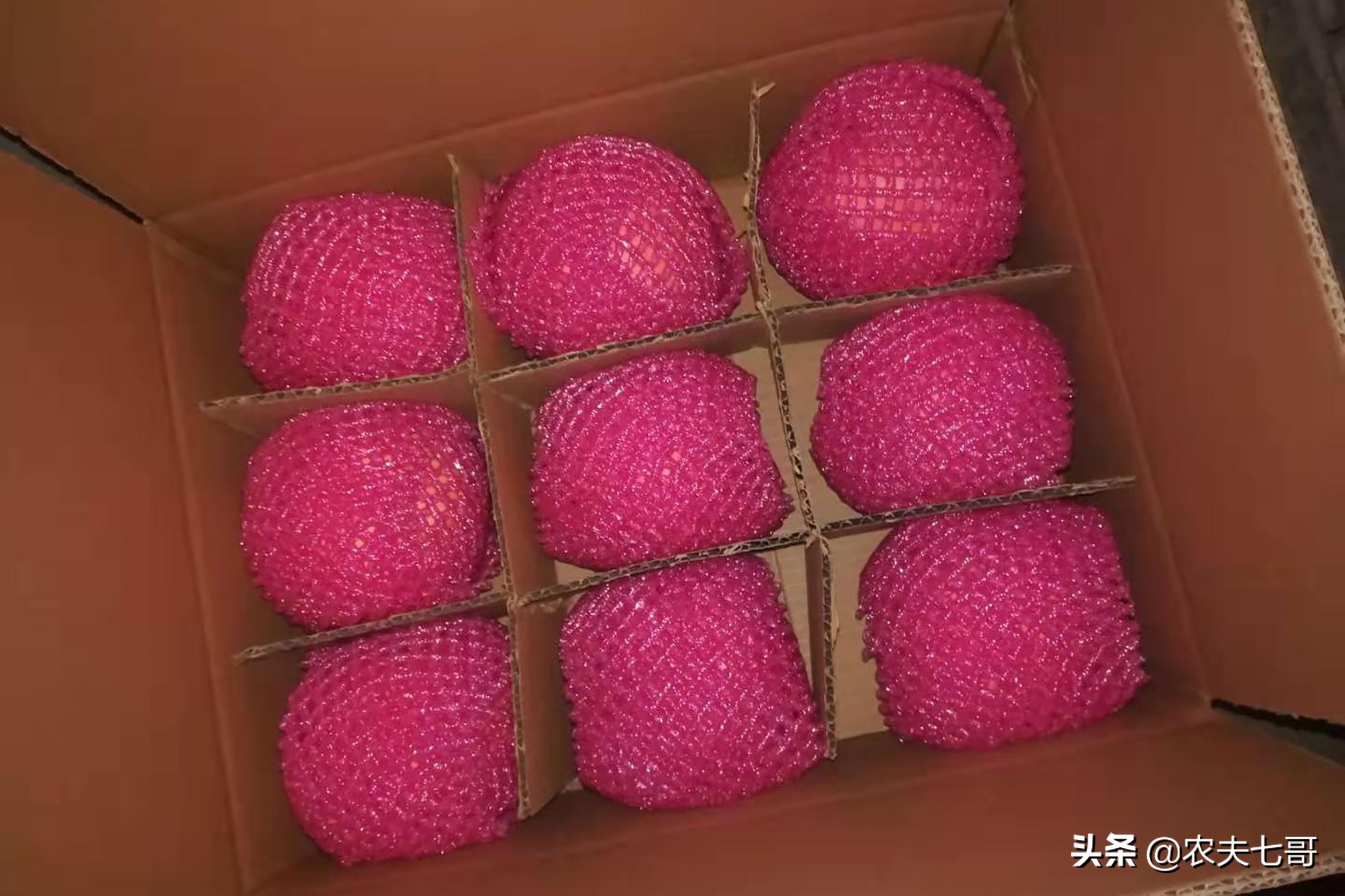 苹果怎么快速打包到果袋,苹果果农套袋子最快方法