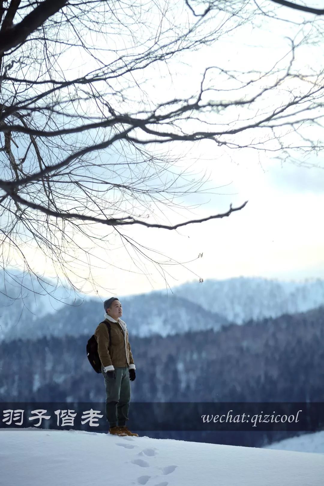 日本10天自由行费用北海道,东京北海道5日自由行攻略