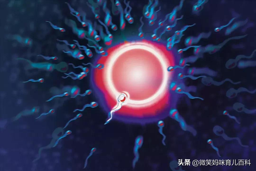 避孕常见的5大误区,避孕十大误区