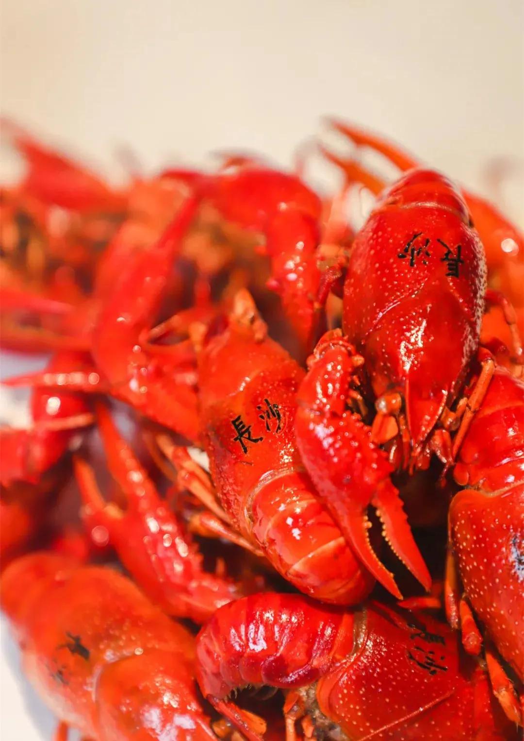 靠谱的购物中心空间设计方案推荐,购物中心设计怎么吸引人