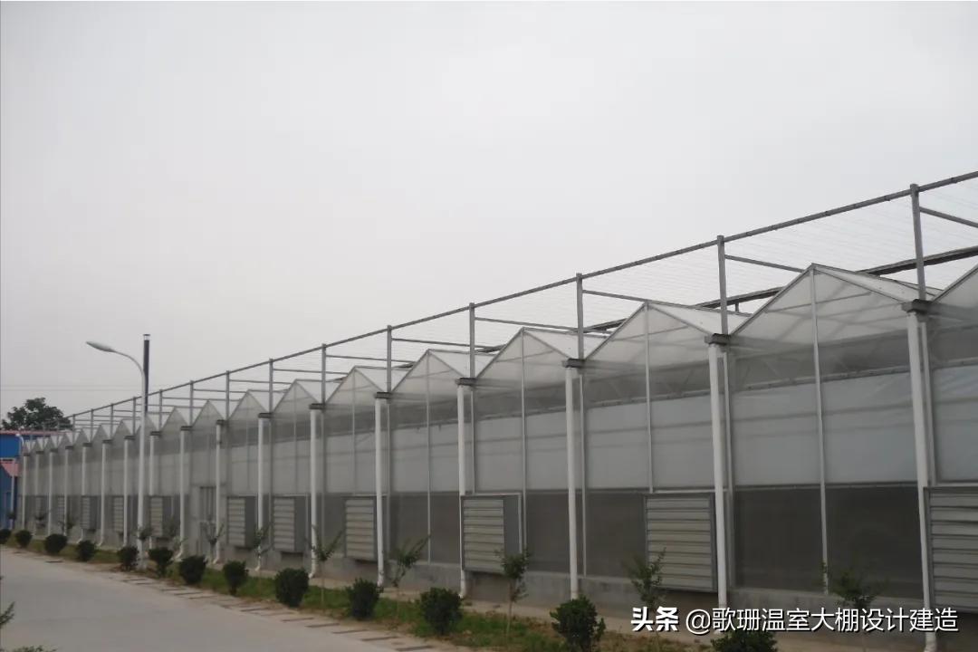 pc透明阳光板温室大棚,连栋阳光板温室大棚的建造