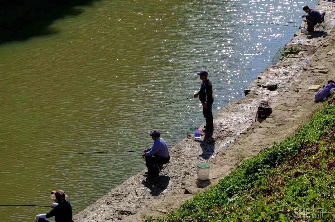 深圳旅游攻略地铁沿线景点,深圳市地铁2号线打卡的24个景点