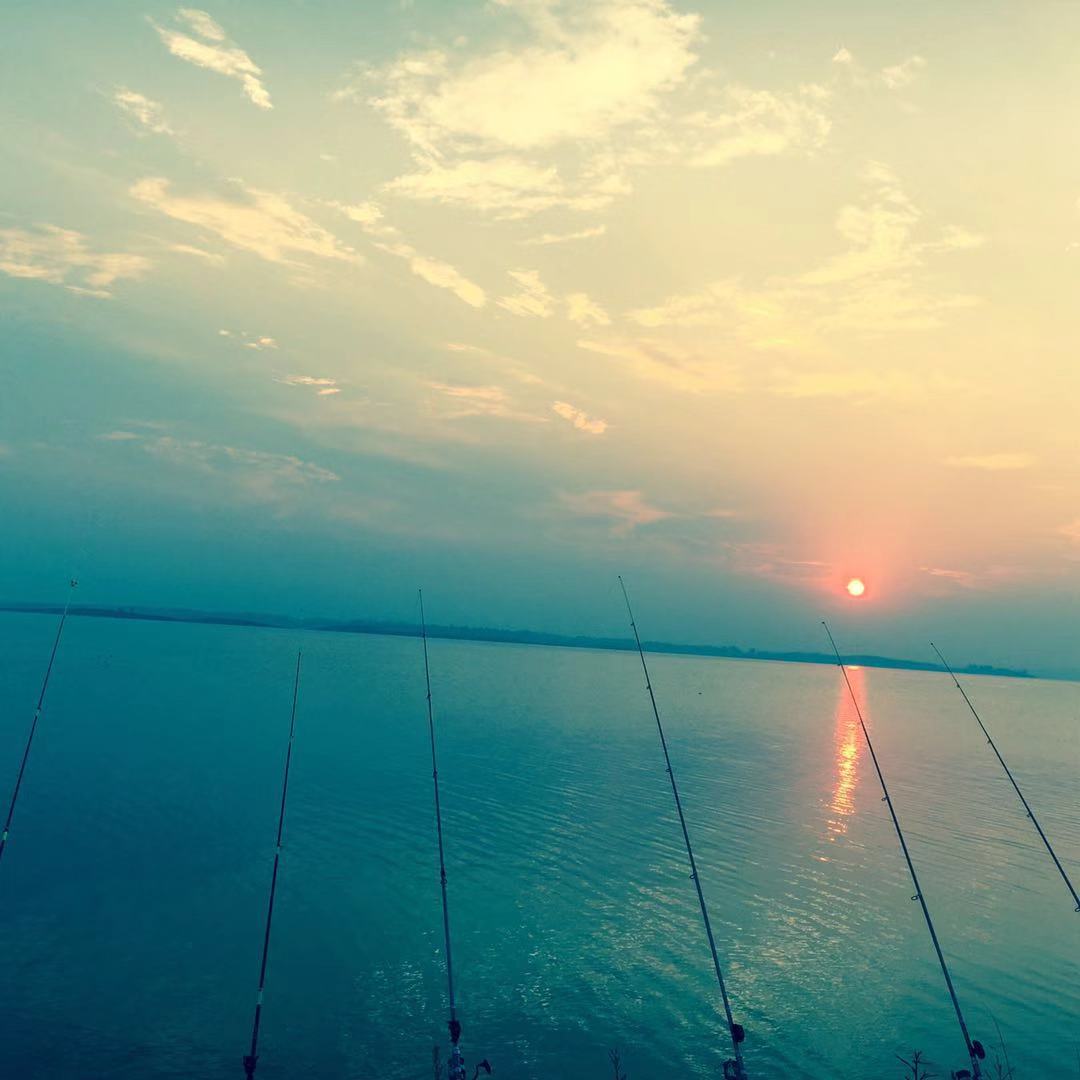 钓鱼没有技巧全靠资源,钓鱼没口怎么办让我来教你吧