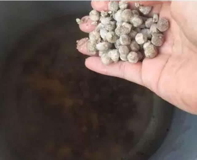 家庭版珍珠奶茶超简单实用教程,家庭版珍珠奶茶芋圆