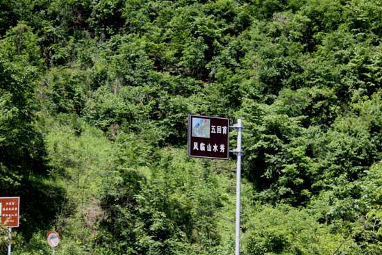 中老年人直播购物防骗指南,中老年人防骗短片