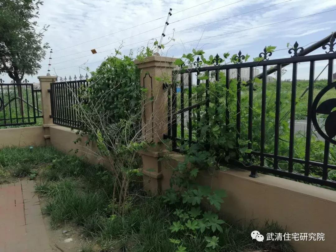 武清龙湾城居住体验,住在武清高村方便吗