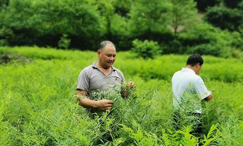 一组勤一组勤劳致富图,你被哪张击中了?