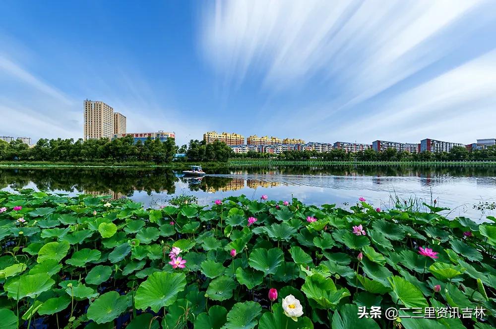 3分钟让你爱上jojo,3分钟让你爱上她