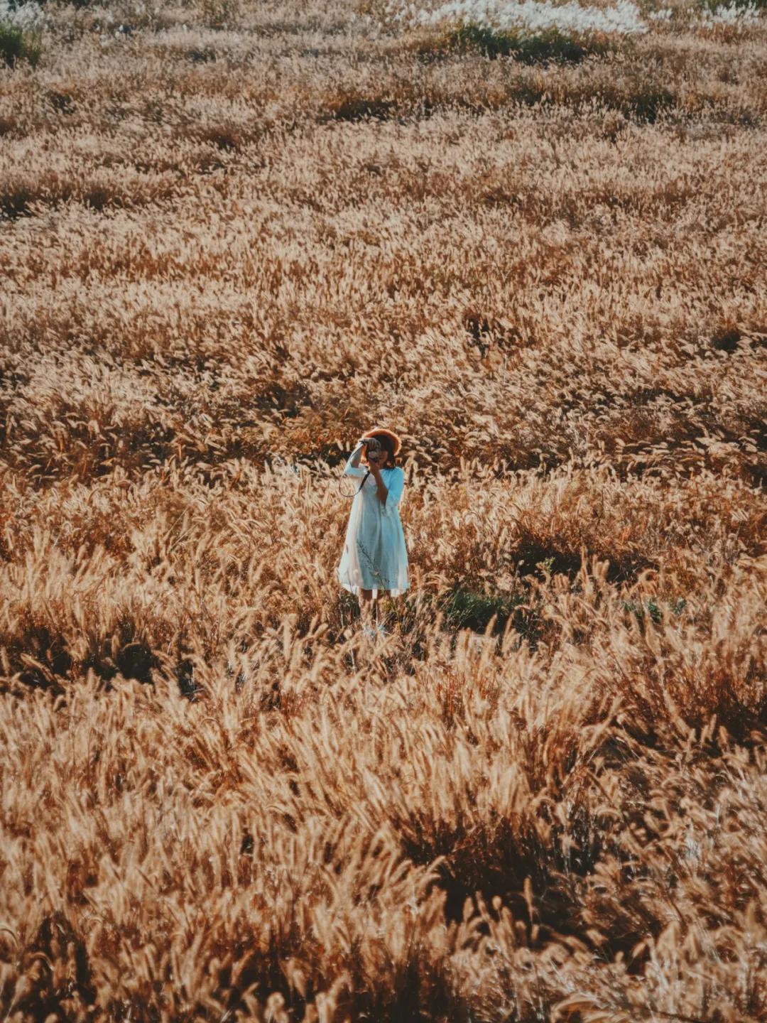 秋天杭州冷门但好看的景点,杭州赏秋景最好的地方