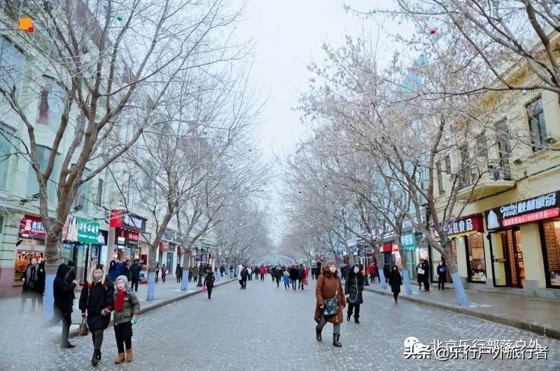 冬天漠河白桦林童话世界完整视频,冰雪大世界长白山雪乡六天五晚