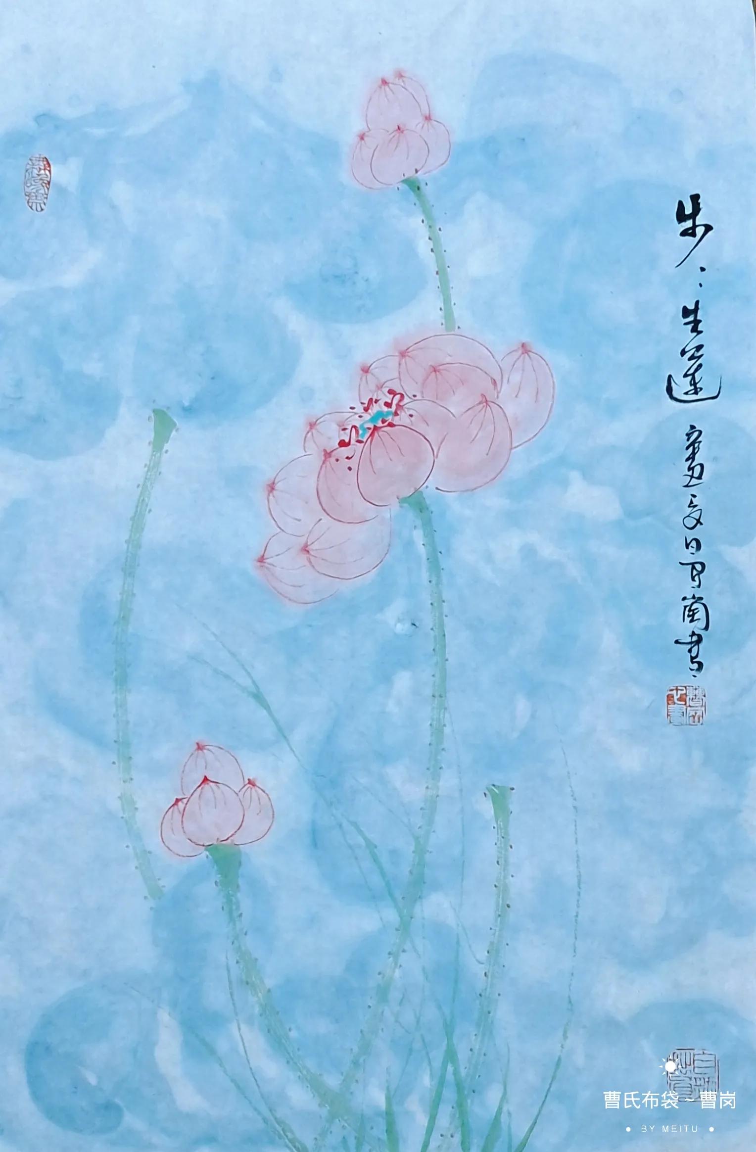 净土莲花~佛荷缘