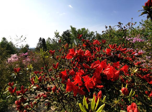 恩施文旅地产,探索湖北恩施