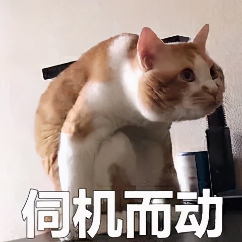 这家店的设计，太上头了！「杰视帮」