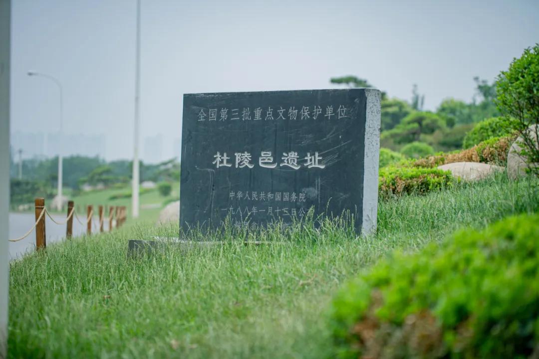 西安花海小森林,西安周边适合郊游野餐的地方