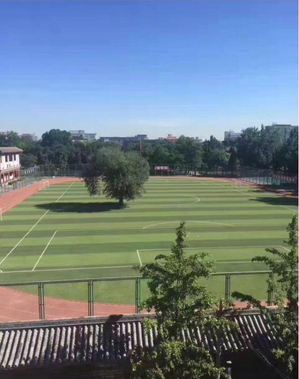 新建球场网友们吃瓜般尴尬，网友纷纷留言还能在尴尬点吗！