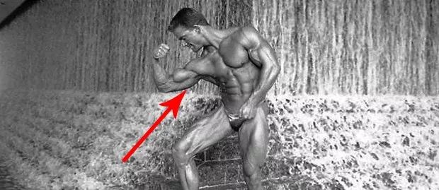 如何快速练出明显的手臂肌肉徒手,无器械手臂爆发力怎么练