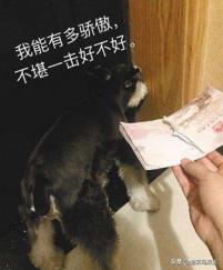 护照失效了在国外还能正常使用吗,华人出入境需警惕