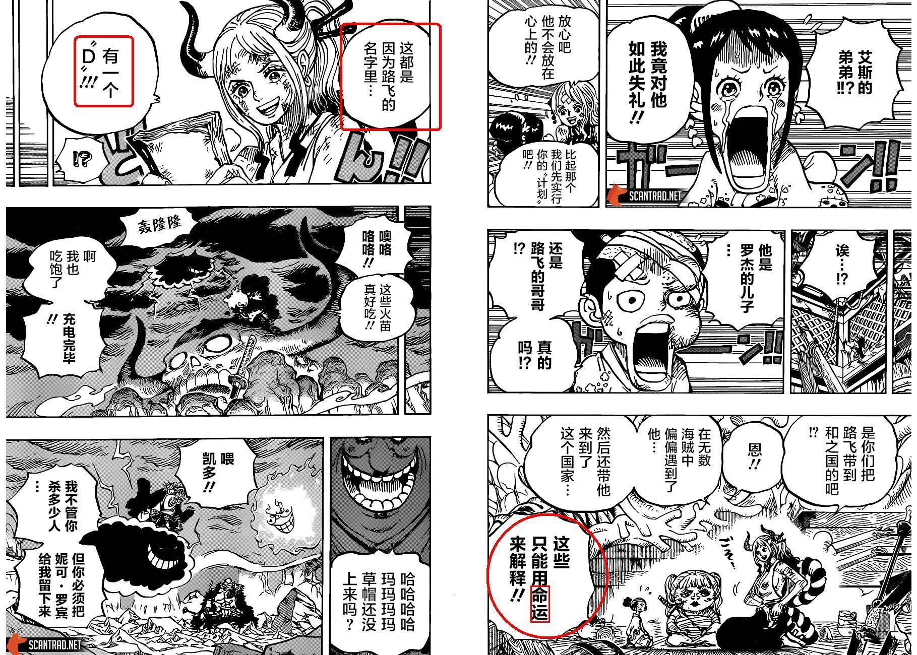 小议“D”的意义、路飞的梦想、路飞的新绝招、超越海贼王的人