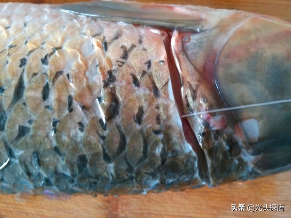 万州烤鱼开店,重庆万州木炭烤鱼秘制配方