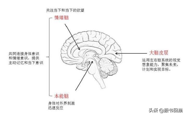 经常生气控制不住发脾气怎么解决,小孩子老是发脾气哭闹该怎么解决