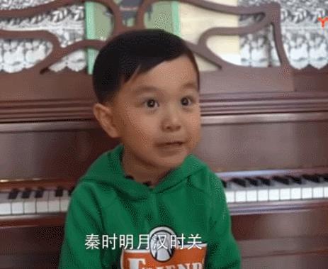 2岁宝宝背诗说明记忆力好吗,3岁小孩背诗的技巧和方法