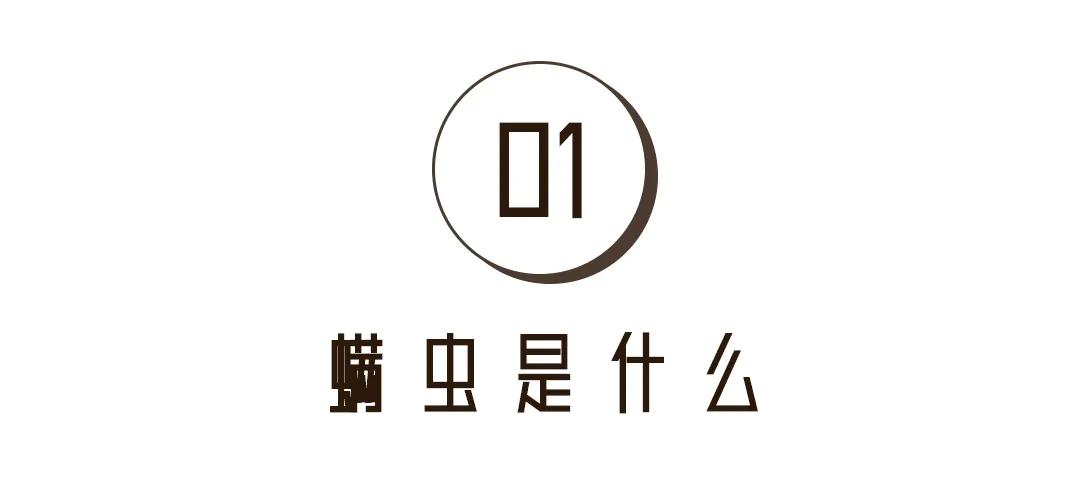 冬天螨虫多还是夏天螨虫多,怎么有效的去除螨虫简单方法