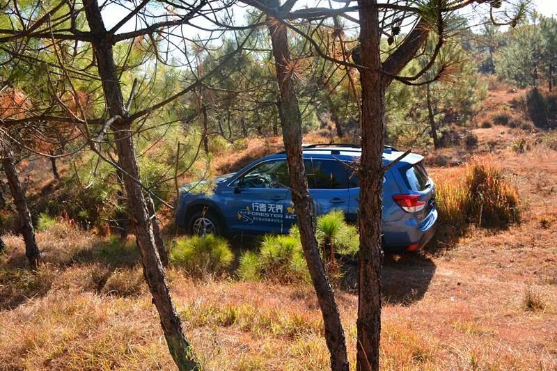 试驾全新一代森林人,森林人换代后感受