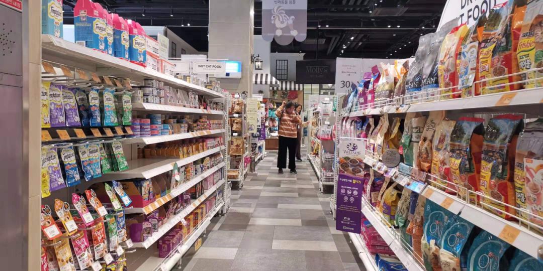 韩国宠物店推荐,韩国宠物店体验