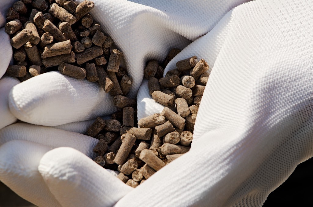 肥料冬储,冬储肥料什么时候开始