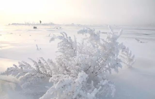 冬季的长白到底有多美？