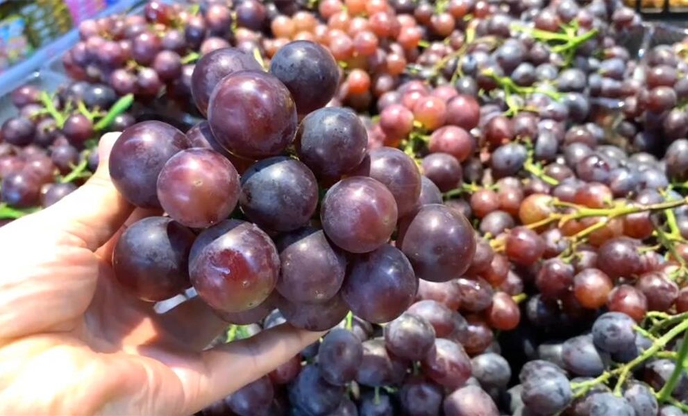 入秋后遇见这菜别手软,立秋后遇到这食材别手软