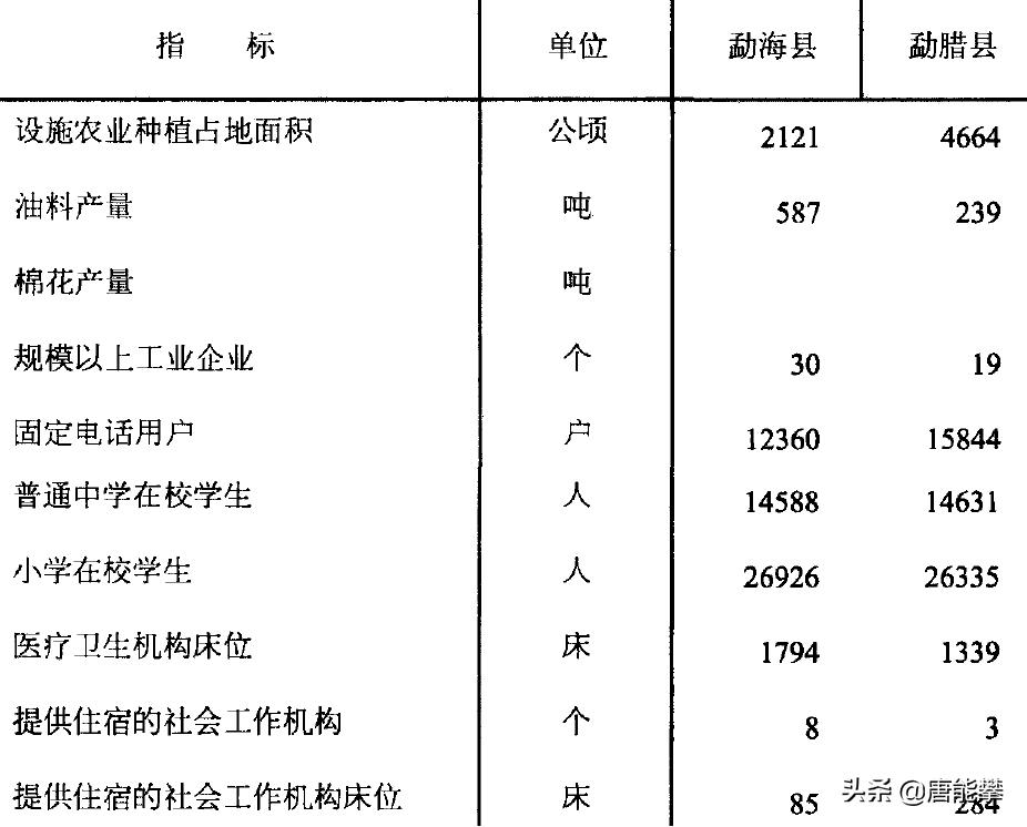 西双版纳勐海县、勐腊县：大象北上起点，云南社会经济研究系列10