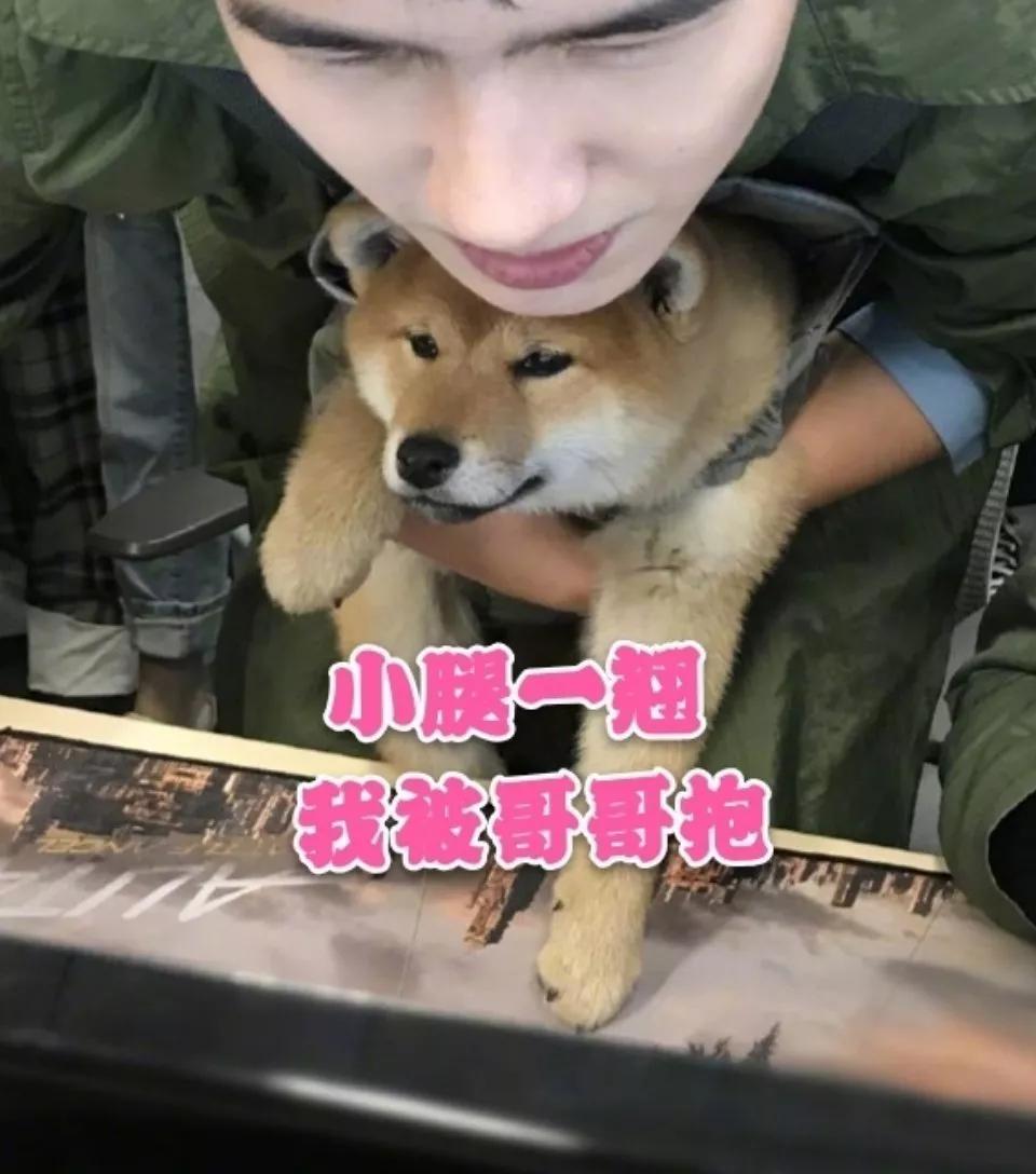 明星大撞脸你看哪个最像,明星撞脸对比