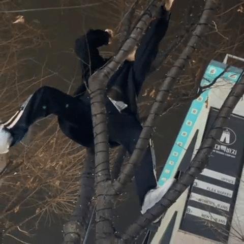 首尔街头练习生,首尔偶像练习生